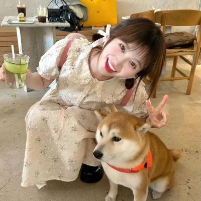 淘哥儿